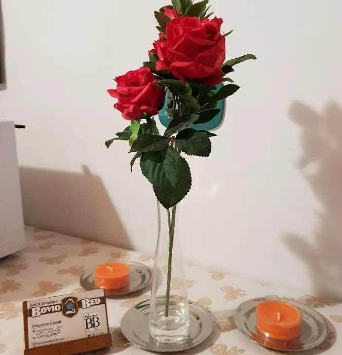 Boviobed B&B-1